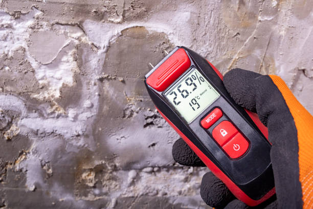 Crawl Space Mold Removal in Hahira, GA