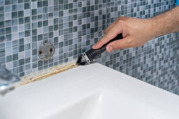 Best Attic Mold Removal  in Hahira, GA