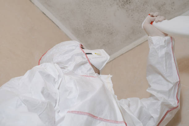 Best Mold Cleaning Services  in Hahira, GA