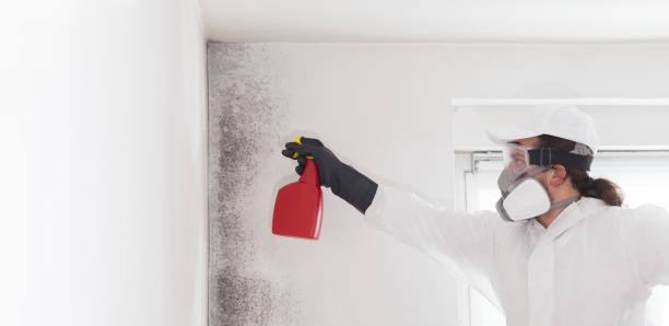 Best Mold Testing  in Hahira, GA